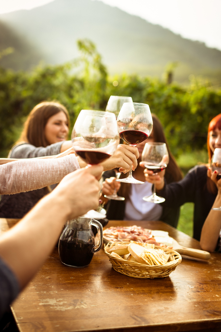 friends doing a wine tasting